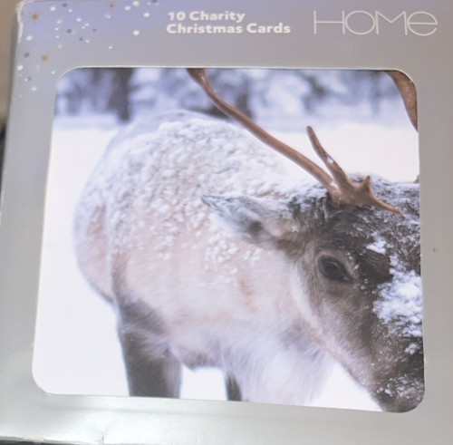 Pack christmas cards - of,
